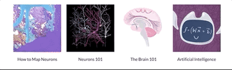 Neuroscience Neurons GIF