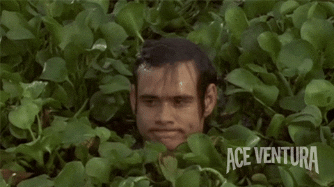 awkward jim carrey GIF