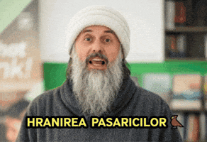 Birds Feeding GIF by Duhul Rautatilor