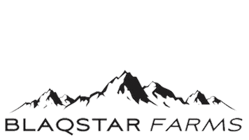 Black Star Farms Sticker
