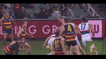 falcon afl GIF by Adelaide Crows