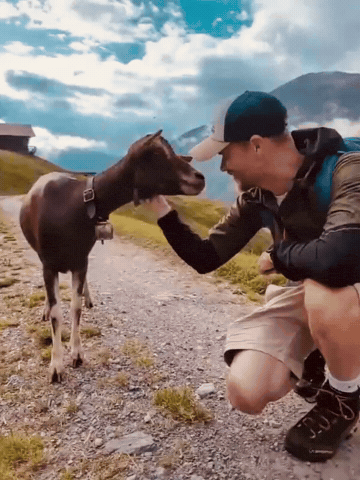 Goat Chriz GIF by KOPFBRAND