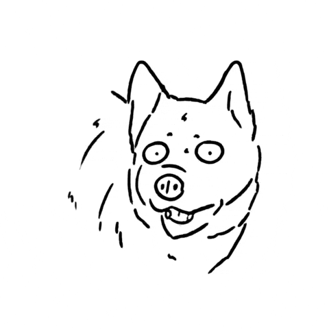 Confused Dog GIF by butpoorlydrawn
