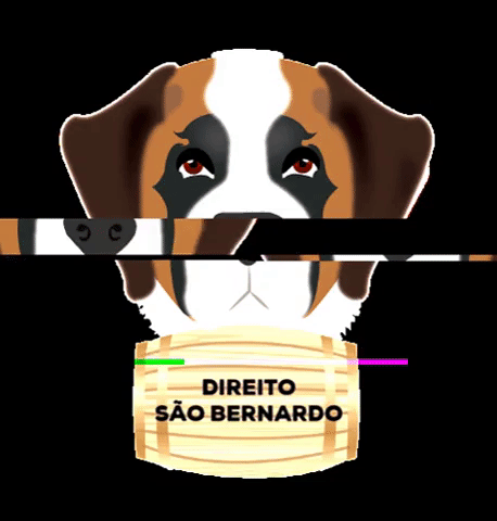 Faculdade De Direito College GIF