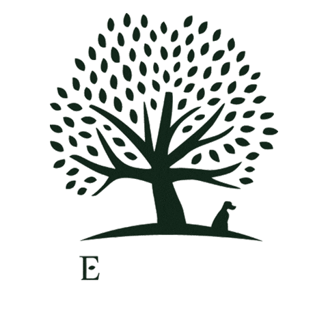 Essential Foods Sticker