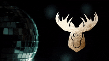 Disco Luxury Travel GIF by Corrigan & Co. Luxury Travel Outfitters