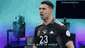 Seleccion Argentina Futbol GIF