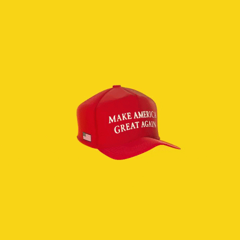 make america great again trump GIF by FOREAL