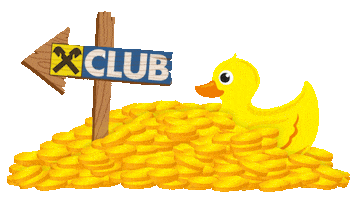 Summer Money Sticker by Raiffeisenlandesbank NÖ-Wien