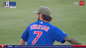 Chicago Cubs Baseball GIF