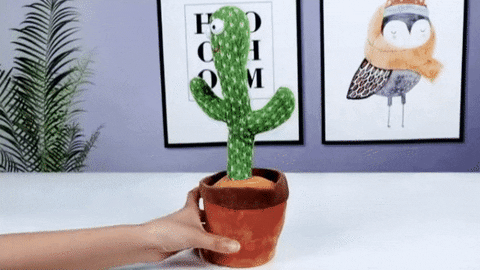 Animated GIF