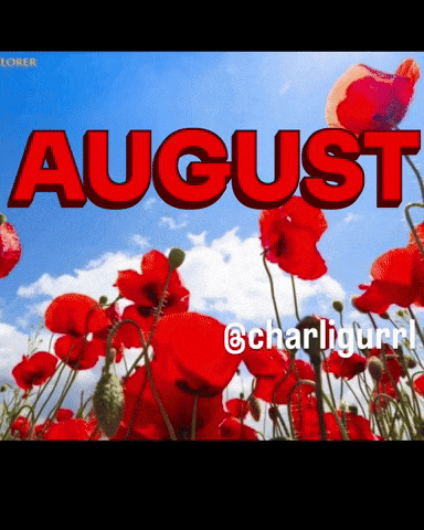 Yas Queen GIF by Charli Gurl