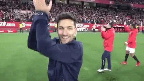 happy la liga GIF by Sevilla Fútbol Club