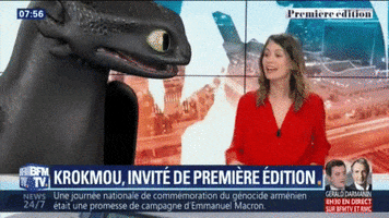 Krokmou Premiereedition GIF by BFMTV