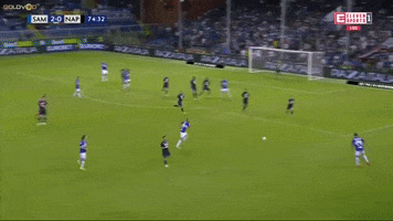 gol GIF by nss sports