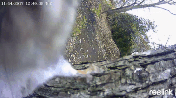 200.gif?cid=fc005b08482880f7a7c89a4356ae11624ab8934a140c21c7&rid=200.gif&ct=g