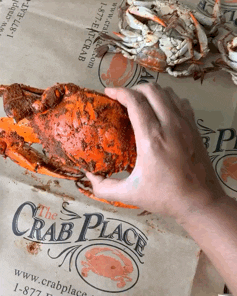 Blue Crab Seafood GIF by The Crab Place
