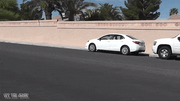 200.gif?cid=fc005b08e9e480c6e0d3aa640efb887f48c67388074915d9&rid=200.gif&ct=g