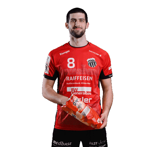 Pfadi Winterthur Handball Sticker