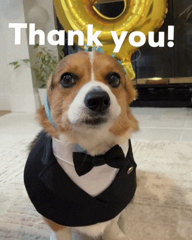 Dog Thank You GIF