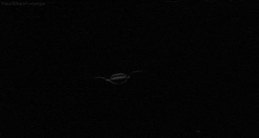 black and white GIF by Head Like an Orange