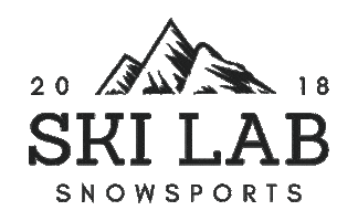 Logo Snow Sticker by SkiLab