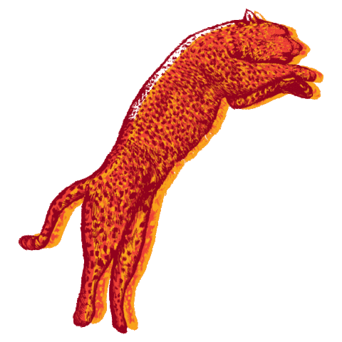 Herbal Tea Roar Sticker by saristi