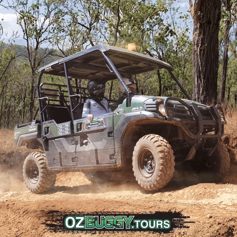 OzBuggy_Tours GIF