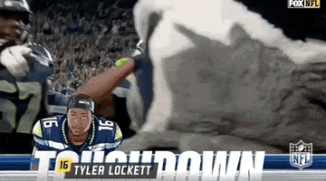 Saluting National Football League GIF by NFL