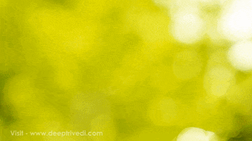 deeptrivedi  GIF