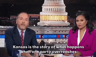 Chuck Todd Msnbc GIF by GIPHY News