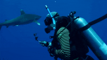 200.gif?cid=fc005b0895e2de07e294e71d945f75e86a619cea5484611a&rid=200.gif&ct=g