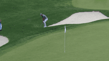 Chip In Pga Tour GIF by Travelers Championship
