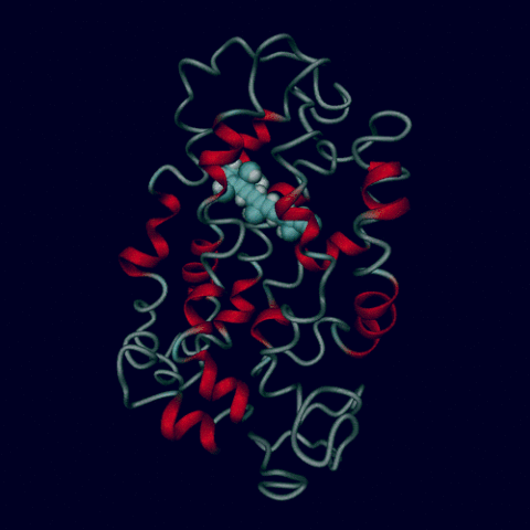 gene