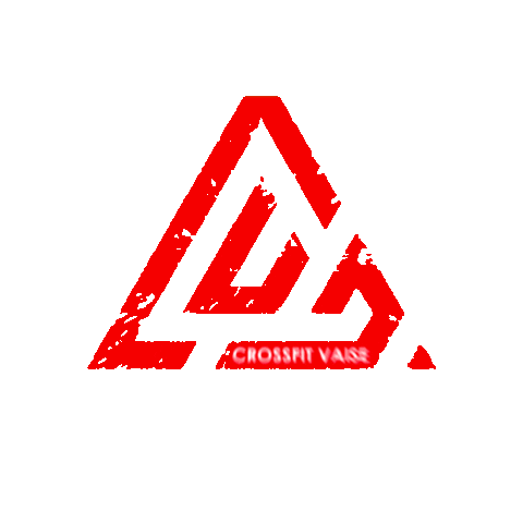 Crossfit Vaise District Sticker