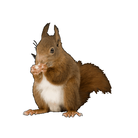 Sticker by EXIT 1 Stop Realty