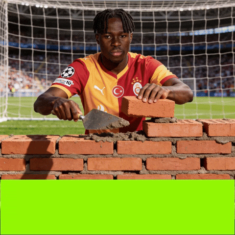 Galatasaray GIF by diar fabric