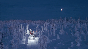 Skiforeningen GIF