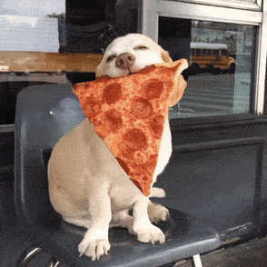 Pizza o amor