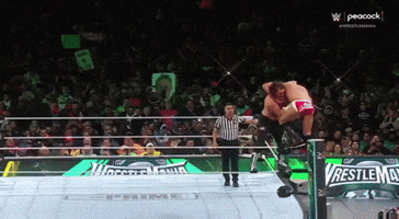 Pro Wrestling GIF