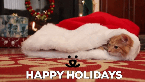 Cat-holidays GIFs - Get the best GIF on GIPHY
