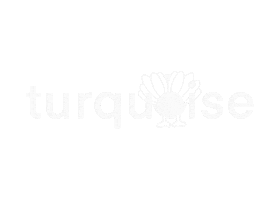 Turquoise Turks Sticker by umallstars