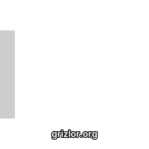 Fun Explore Sticker by grizlor