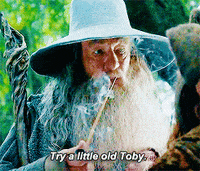 Gandalf Smoking GIFs - Find & Share on GIPHY