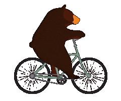 Bear Cycling Sticker by Gear Hugger