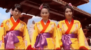 Japan Okinawa GIF