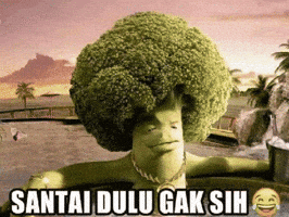 Meme Indo GIF