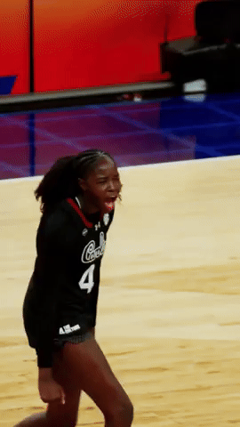 South Carolina GIF