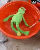 Drunk Kermit GIF by ninavers3