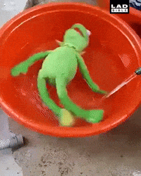 Drunk Kermit GIF by ninavers3 Drunk Kermit GIF by ninavers3